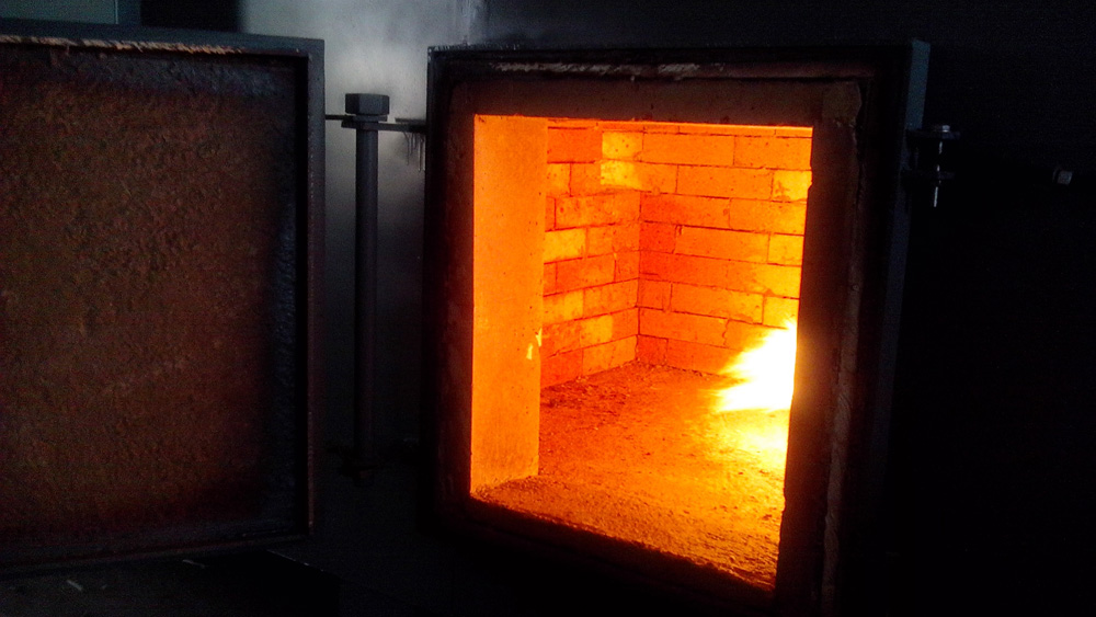 Small Medical Incinerator TS50