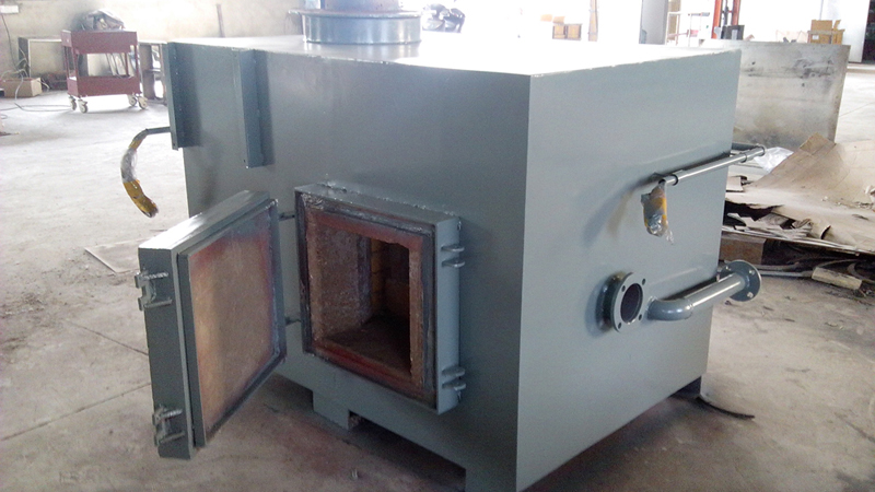 Small Medical Incinerator TS20